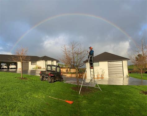 Why Winter Tree Pruning Is Important | Marc Doyle Treework