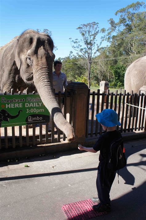 Johnsons Around Oz 2012: Day 61 Brisbane (Australia Zoo)