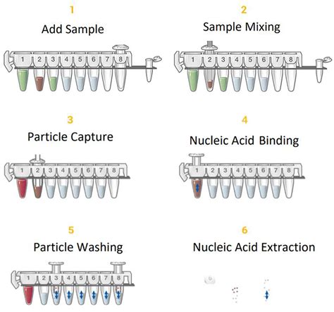 DNA Purification | DNA Extraction Methods | Promega