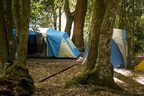 10 Best Camping on the Gold Coast Spots for Families