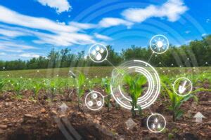 How Technology Helps to Improve Agriculture Sustainability