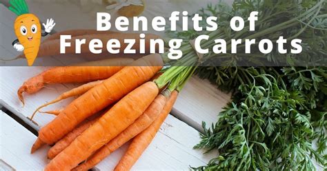 Can You Freeze Carrots? - Yes you can, but there is a method!