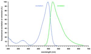 SYBR DNA Stain, Gel, Loading and Staining - Jena Bioscience