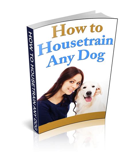 HOW TO HOUSE TRAIN YOUR DOG (THE EASIEST WAY) | by Dawda Mahamuud | Medium