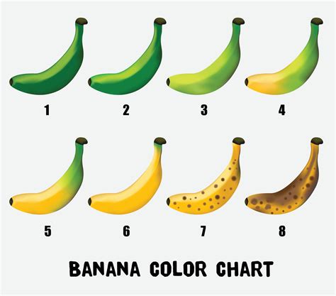 Banana Stages Chart A Visual Reference Of Charts Chart Master ...