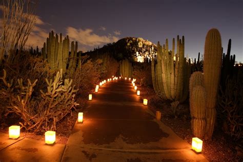 Tempe Tourism Tempe Events This Week – Las Noches de las Luminarias - Tempe Tourism