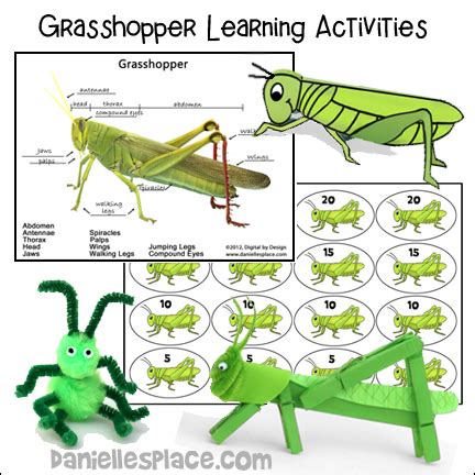 Grasshopper Learning Activities - Printable Craft Patterns