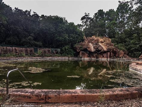 Abandoned Disney's River Country in Florida in eerie photographs | Daily Mail Online