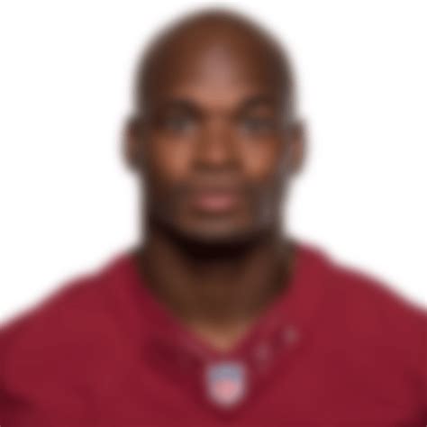 Adrian Peterson Career Stats | NFL.com