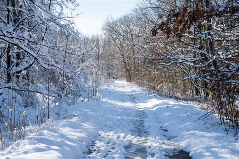 Cuyahoga Valley National Park in the Winter: Your Ultimate Guide