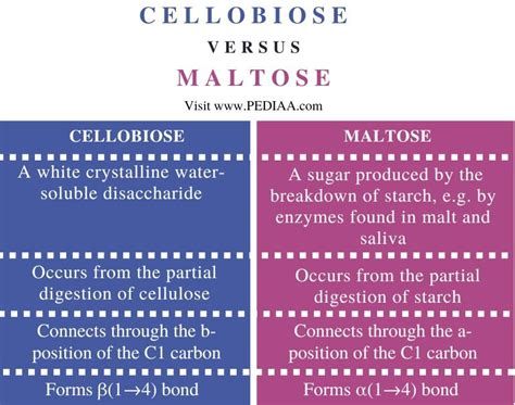 What is the Difference Between Cellobiose and Maltose - Pediaa.Com