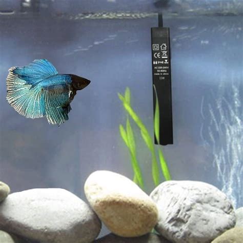 6 Best Heaters for Betta Fish Reviewed in Detail (Winter 2025)