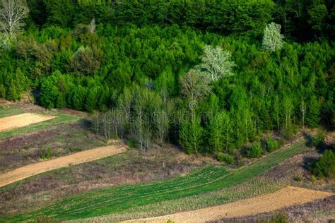 Beautiful Spring Landscape In Republic Of Moldova. Stock Image - Image of grass, outdoor: 179740411