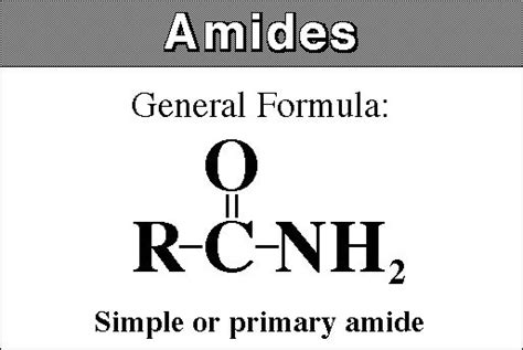 chemistry: amide bond