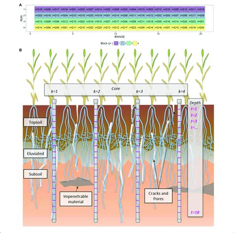 | Schematics of the field experiment. (A) Surface layout of the field... | Download Scientific ...