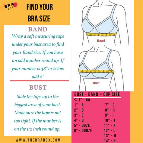 Diagram Of Bra Sizes