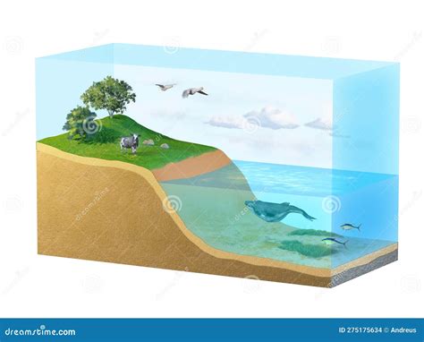 Biosphere diagram stock illustration. Illustration of geology - 275175634