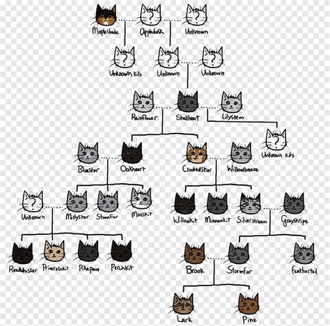 Warrior Cats Thunderclan Family Tree