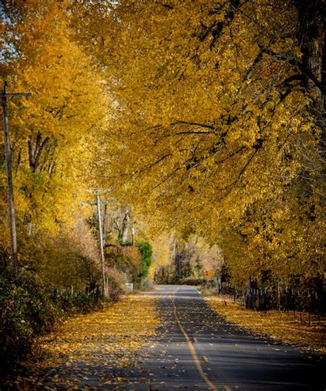 Here’s when and where fall foliage colors peak in Oregon in 2023 ...