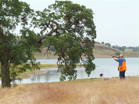 Camanche Hills Hunting Preserve: Great Mother Lode Shooting Opportunities