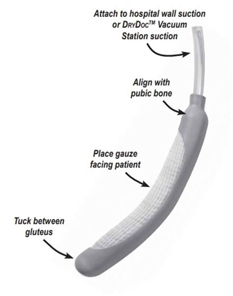 male urinary tract diagram