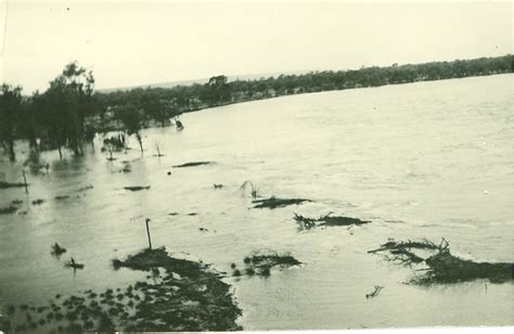 Flinders River in flood, Hughenden 1930s; Unidentified; 1930s; 2012-134 | eHive