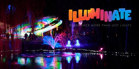 Illuminate Light & Sound Experience | Illuminate New Zealand