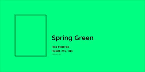 Spring Green Complementary or Opposite Color Name and Code (#00FF80) - colorxs.com