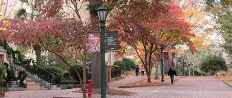 USC Columbia - Giving at South Carolina | University of South Carolina