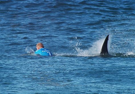 Surfer Mick Fanning Escapes Shark Attack During Competition Broadcast - The New York Times