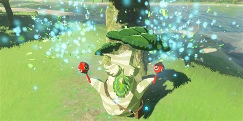 Zelda: BOTW's Final Korok Seed Reward Is More Thoughtful Than Useless