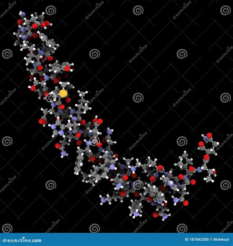 Gastric Inhibitory Polypeptide (GIP, Glucose-dependent Insulinotropic Peptide) Endocrine Protein ...