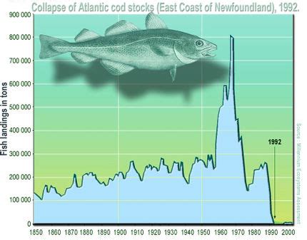 Tragedy Of The Commons Graph