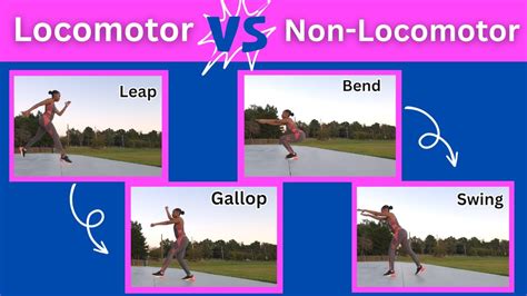 Locomotor vs Non-Locomotor Movements Explained | Physical Education ...