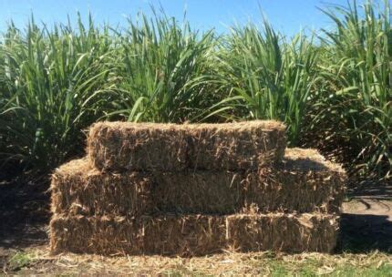 sugar cane mulch in Queensland | Gumtree Australia Free Local Classifieds