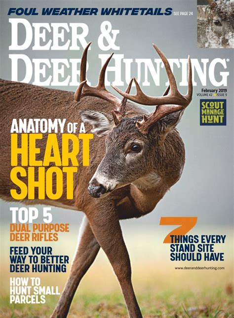 Deer & Deer Hunting Magazine | Whitetail Deer Hunting Tips - DiscountMags.com