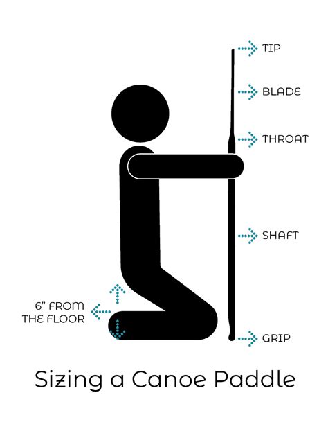 Canoe Paddle Sizing: A Beginner's How-To Guide