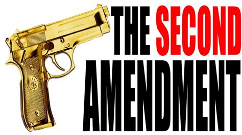 The Second Amendment Explained: The Constitution for Dummies Series ...