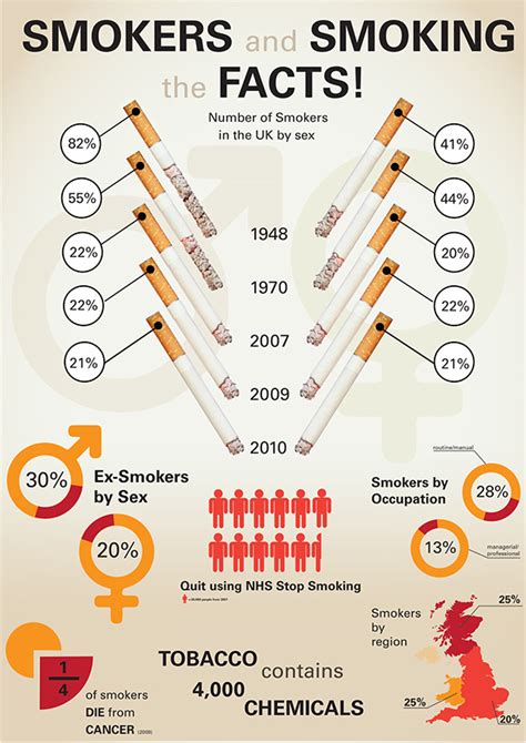 Smoking Infographic Poster :: Behance