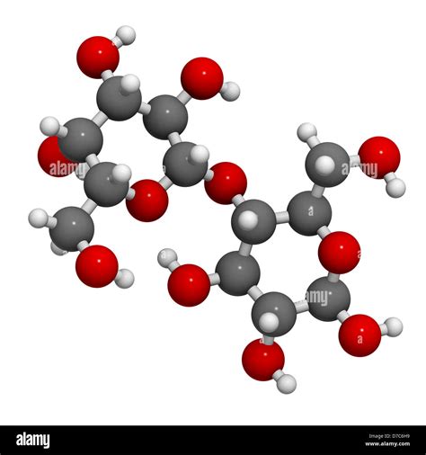 Lactose milk sugar molecule, chemical structure. Lactose is the disaccharide sugar found in milk ...