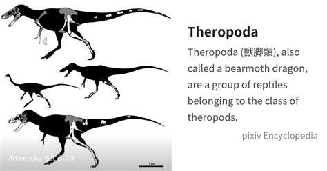 Theropoda is... - pixiv Encyclopedia