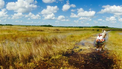 Everglades Tours | Eco Tours | Everglades Adventure Tours | Everglades ...