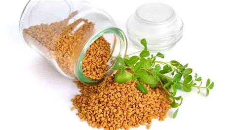 Fenugreek Benefits and Side Effects [Proven] | FoodrFitness