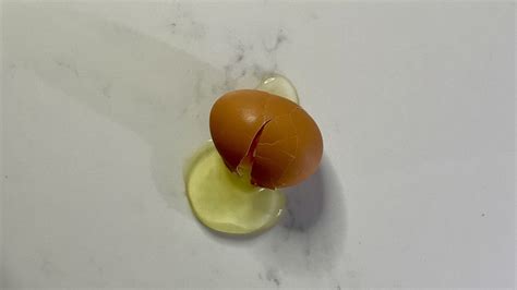 How To Crack An Egg With One Hand And Impress Everyone You Know