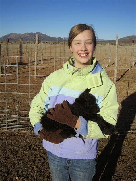 Hyer Homestead: Colors and Patterns in Finnsheep