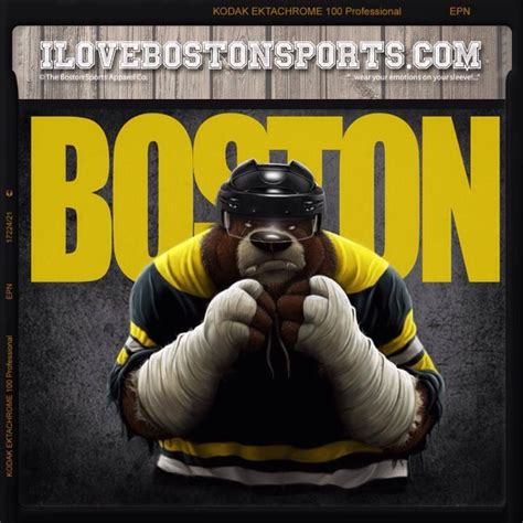 Bear bruins | Boston bruins, Bruins, Boston