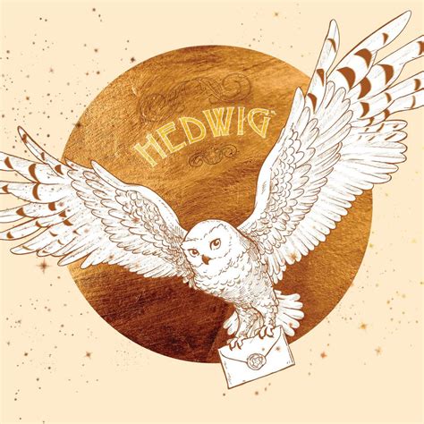 Harry Potter Hedwig Delivery Wall Art | Digital Art