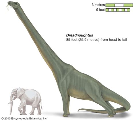 6 Awesome Dinosaur Species You Should Know | Britannica