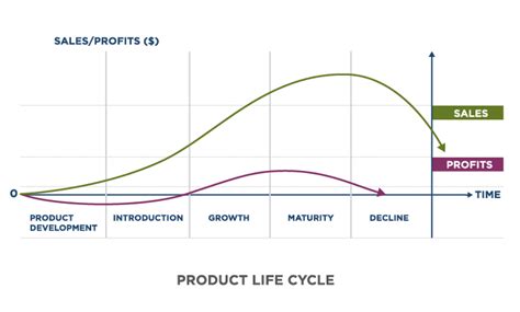 emocional Accesible Órgano digestivo product life cycle graph cuenca ...