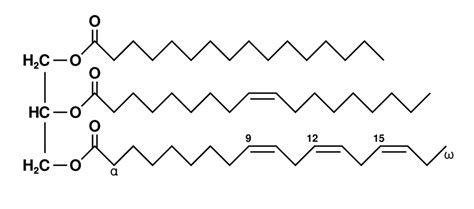 Lipid Example Structure Diagram | Quizlet